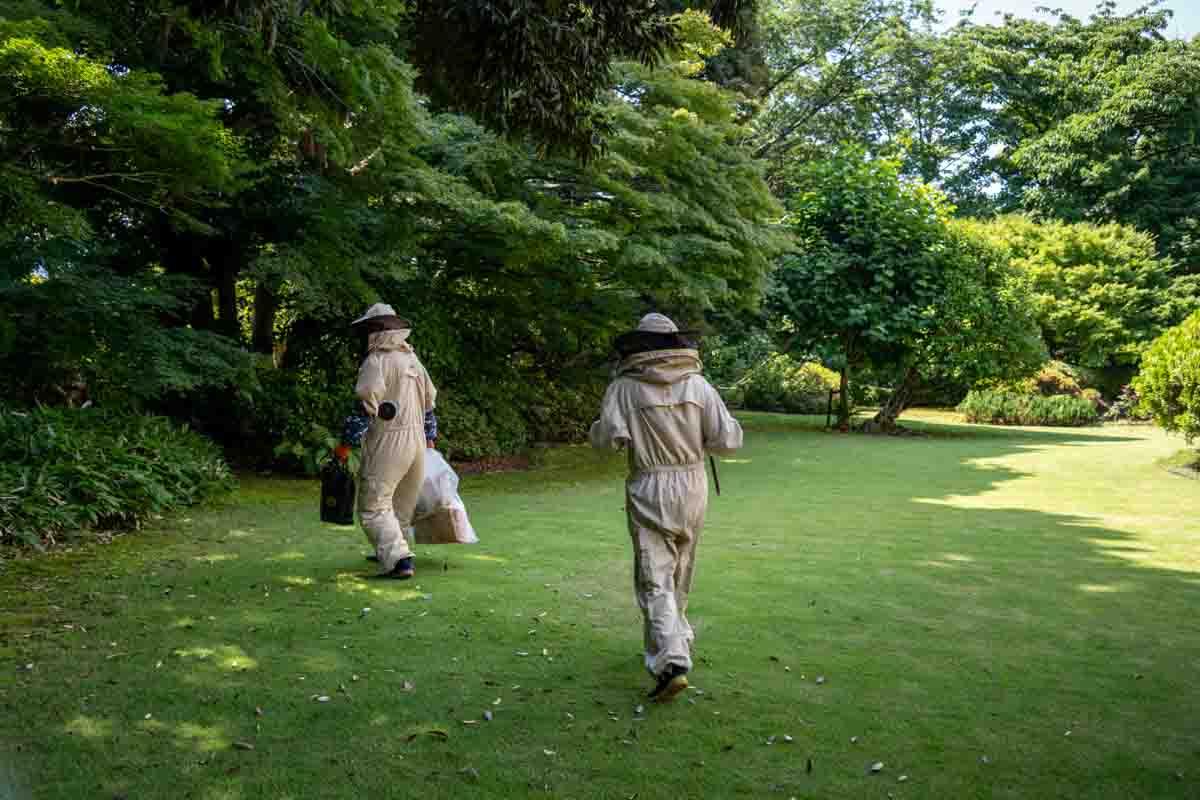 ruches de l'ambassade de France à Tokyo