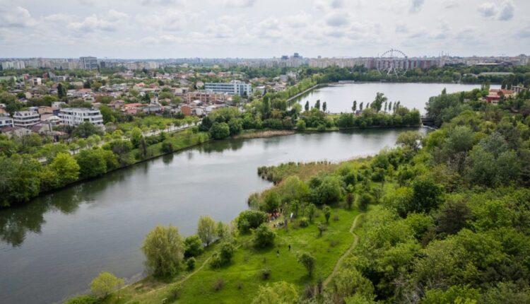 Petricani-meadow-750x430