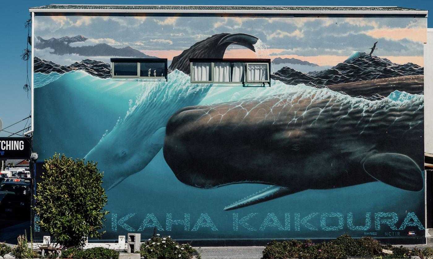 street art dans la ville de Kaikoura
