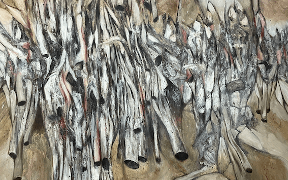 Andy Yang, Akar-akar terlerai (Broken roots), 2024.