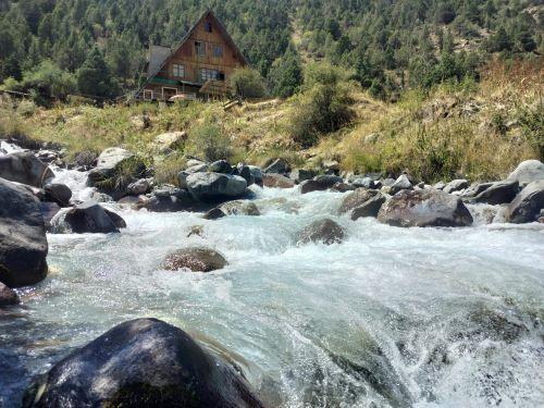 pexels-yrys-33403339