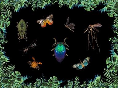 Exhibition Insectes_2.j