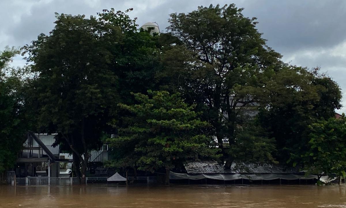 Les rives de le rivière Ping à Chiang Mai les pieds dans l’eau 