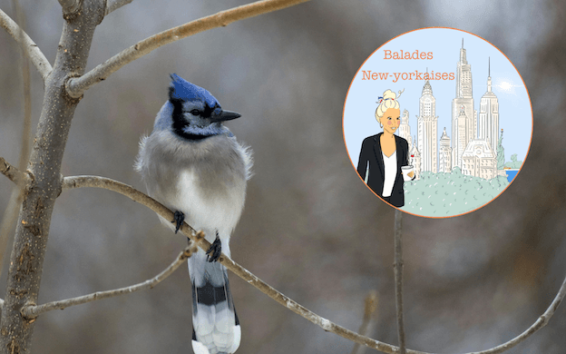 Crédit : Andrew Patrick Photo via Pexels