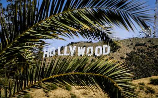 Les lettres Hollywood derrière un palmier