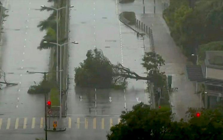 tko hong kong ragasa