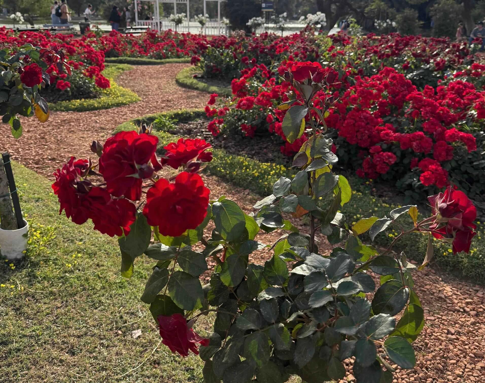 Photo de la semaine_0