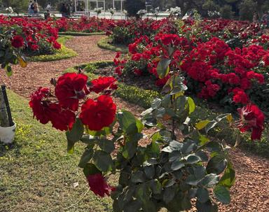 Photo de la semaine_0