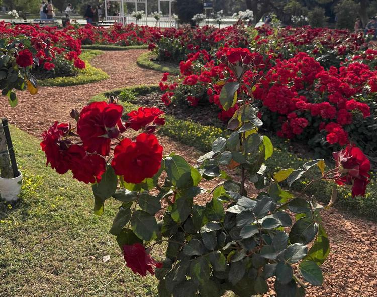 Photo de la semaine_0