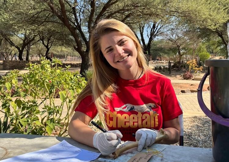 Le Docteur Catherine Hauw analyse les os des grands carnivores