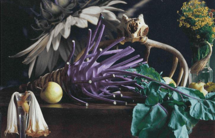 Vera Mercer, The Naked Deer Head, Omaha 2008 © Vera Mercer Vera Mercer 2008