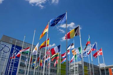 drapeaux des pays de l'union europeenne