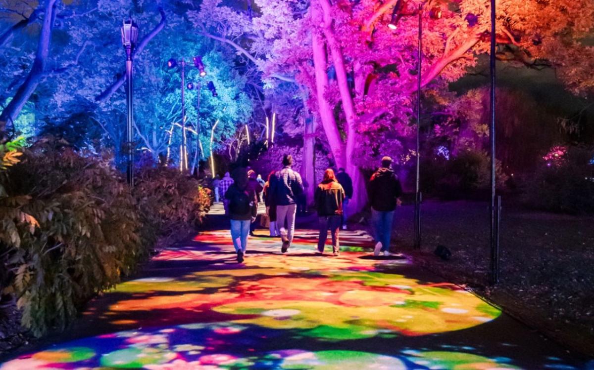 Des personnes marchent sous les lumières