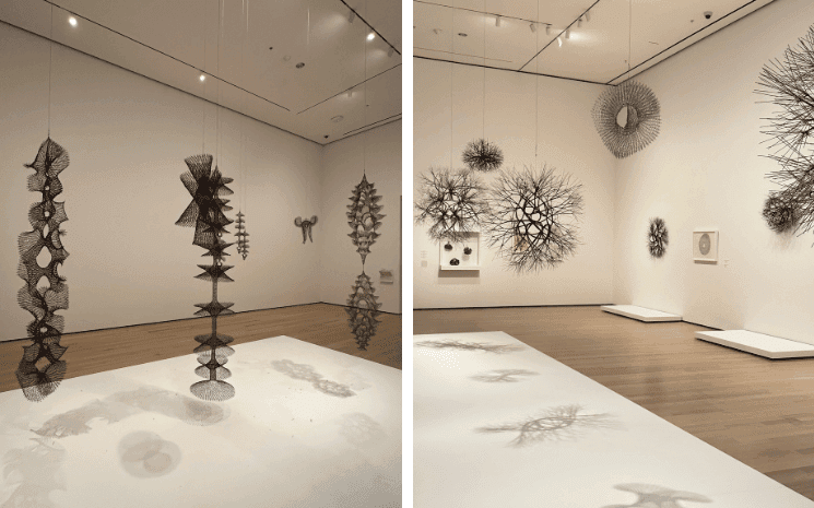Ruth Asawa : Une rétrospective au MoMA