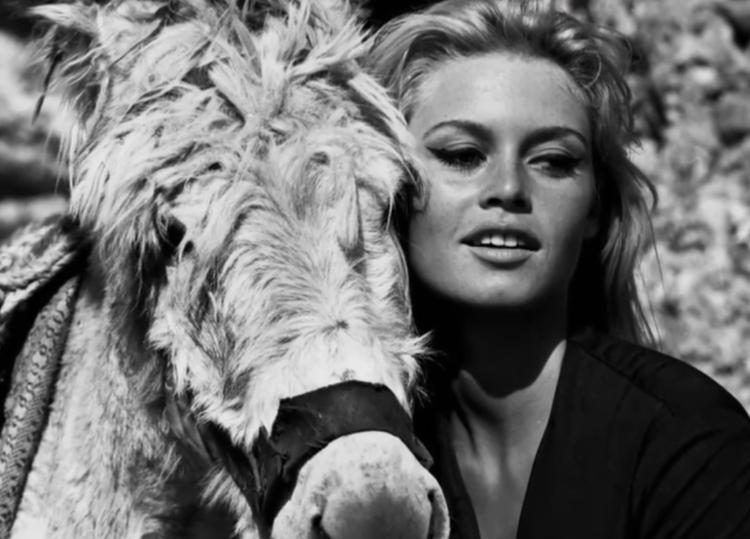 Brigitte Bardot avec un cheval