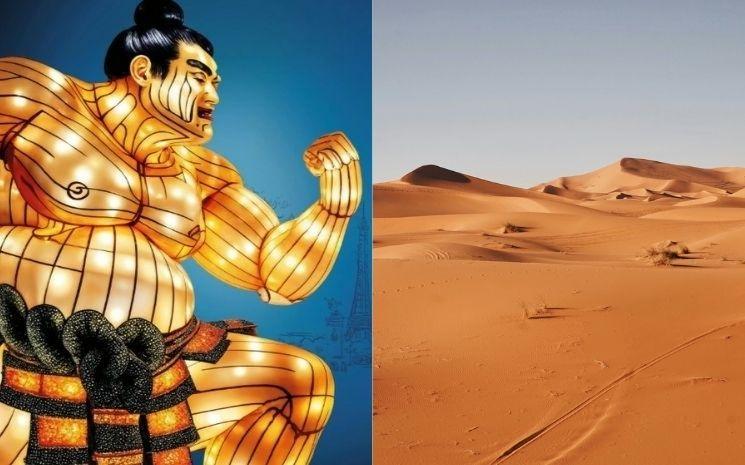 Expo paris hiver 2025 Le Japon en lumières et Déserts 