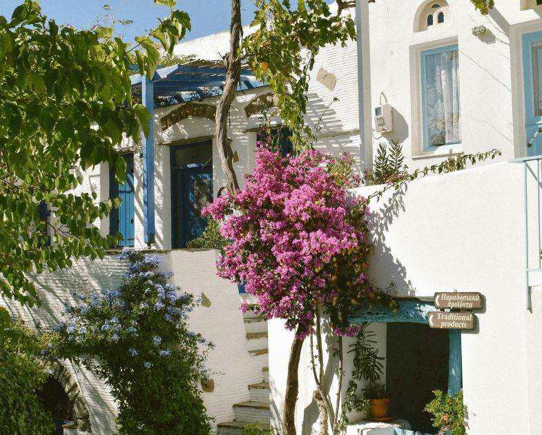 Un batiment en Grèce, des fleurs et des arbres