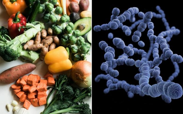 Le microbiote au Royaume-Uni