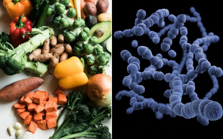 Le microbiote au Royaume-Uni