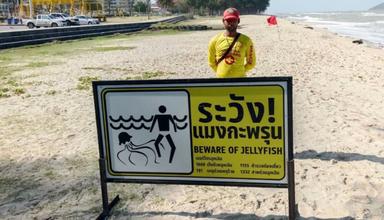 Lifeguard alerte aux méduses 