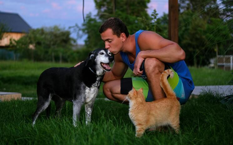 un homme embrasse son chien sur la tête et un chat se balade à côté