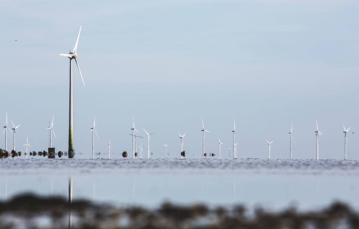 Plusieurs éoliennes en mer