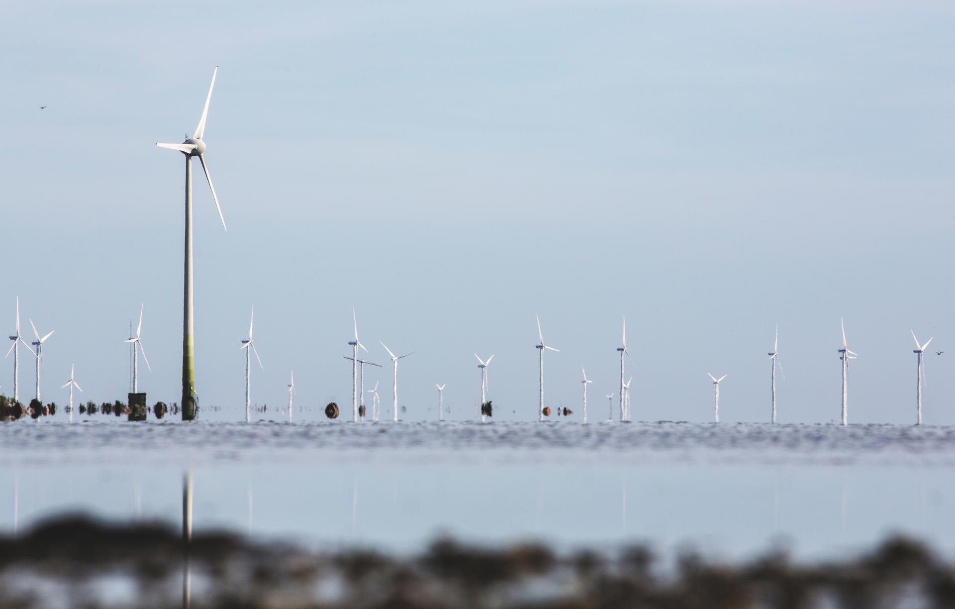 Plusieurs éoliennes en mer