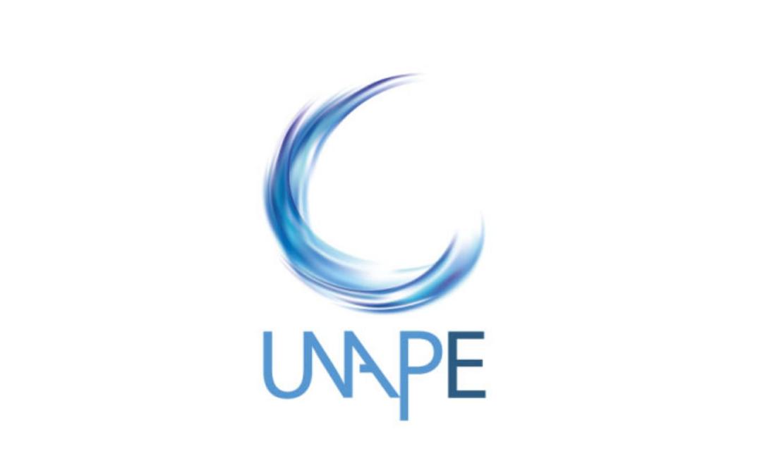 logo unape