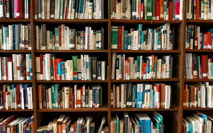Bibliothèque pleine de livres
