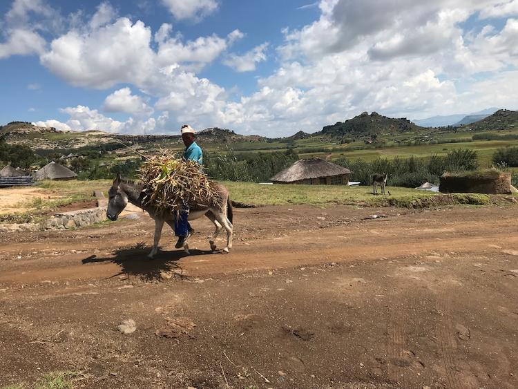 LESOTHO Kingdom in the sky