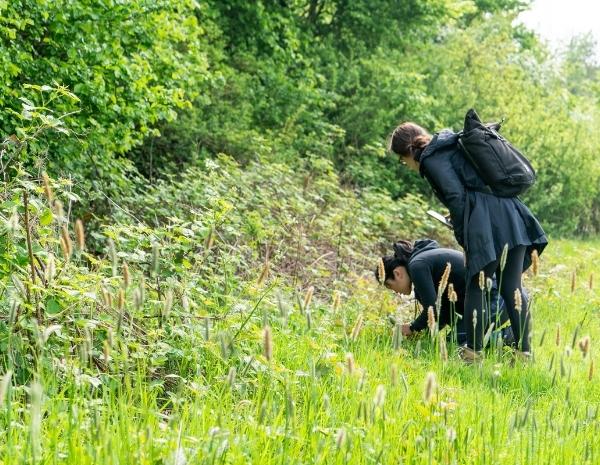 Science citoyenne londres