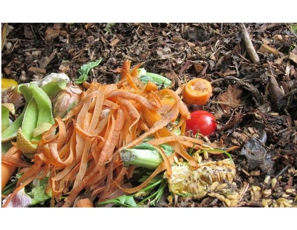 recyclage alimentaire 