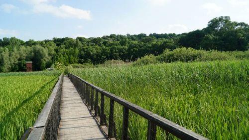 Bucarest Le petit delta bons plans sortie escapades