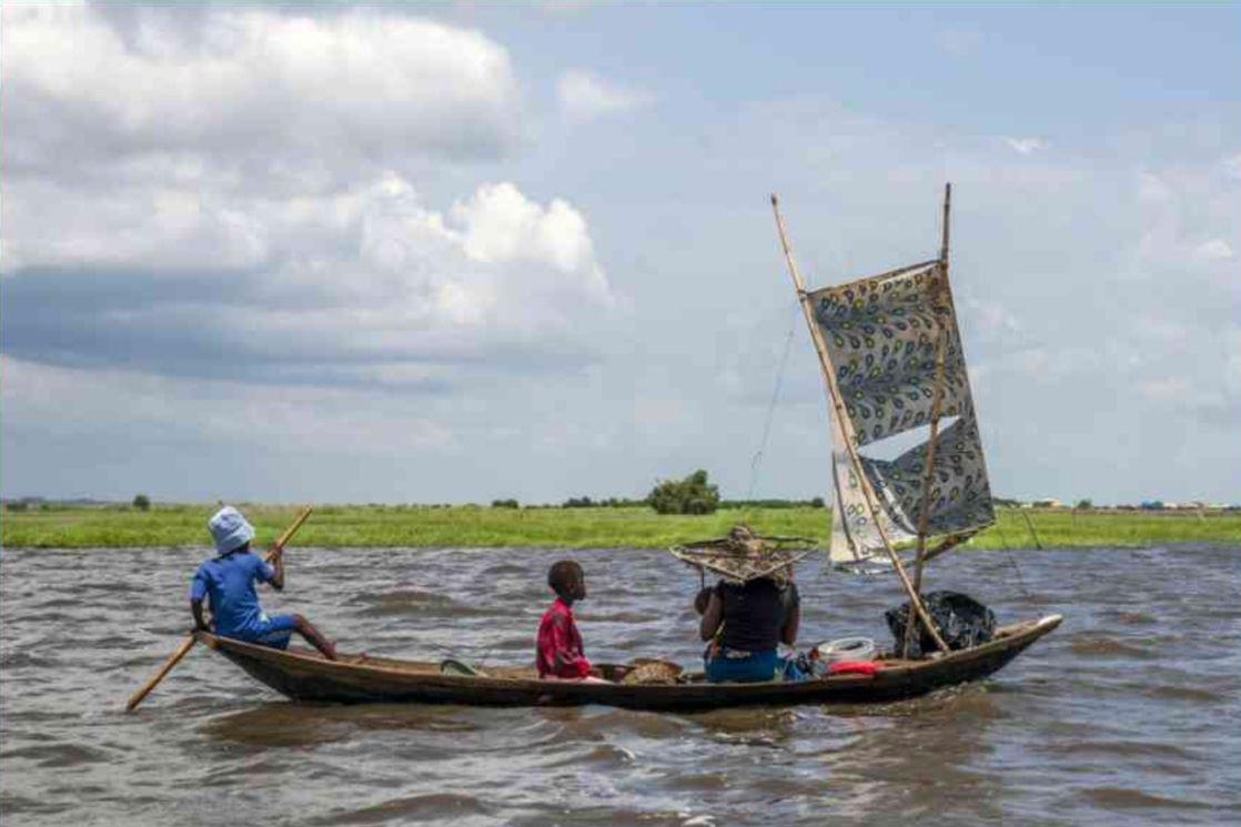 Naviguer les eaux: la route des mangroves