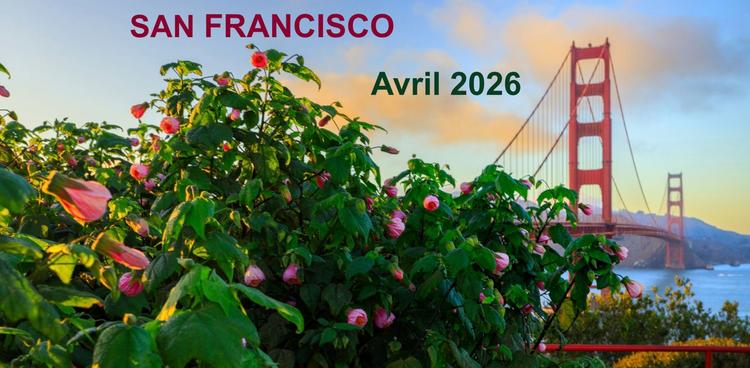 Des fleurs avec le Golden Gate Bridge, pont de San Francisco 