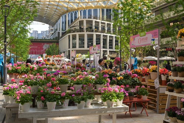 Shanghai Flower show