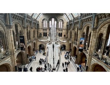 Natural History Museum 