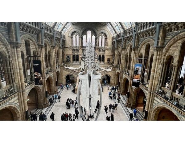 Natural History Museum 