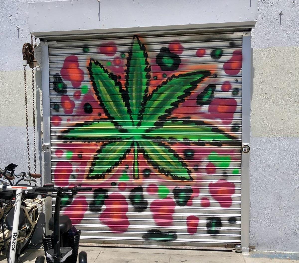 cannabis Venice