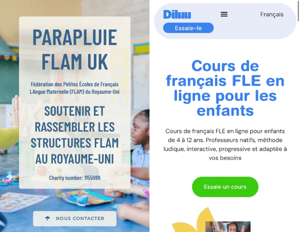 FLAM et Diluu