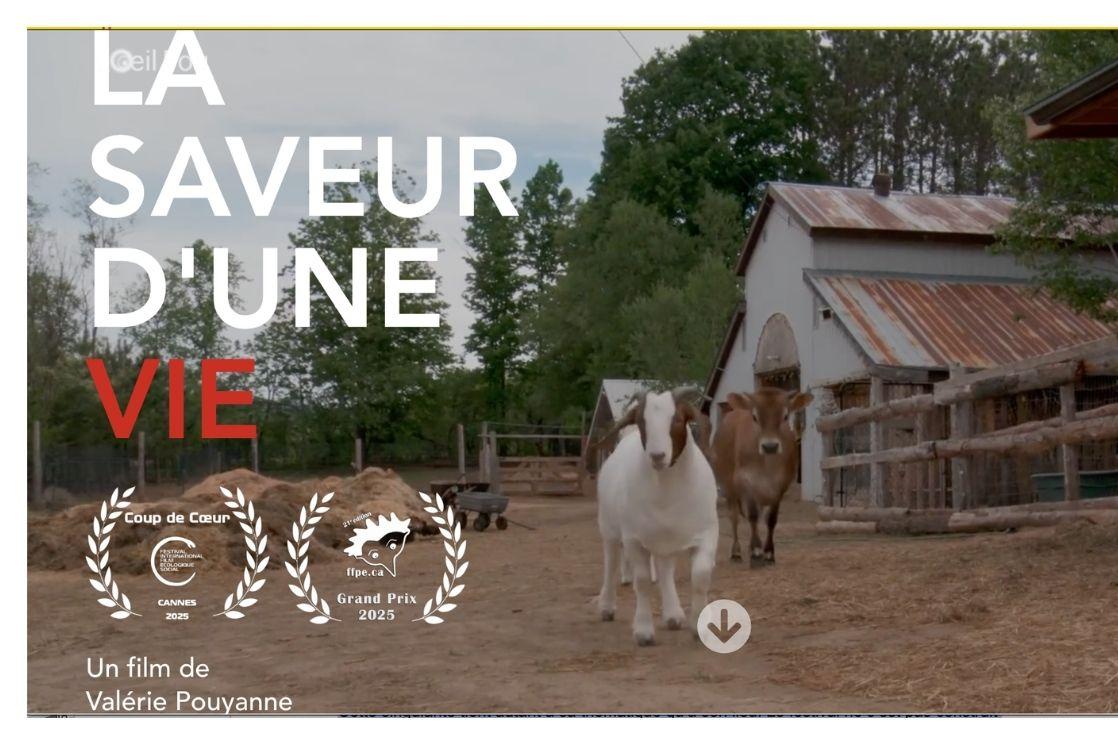 La saveur d'une vie