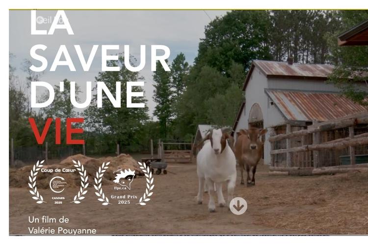 La saveur d'une vie