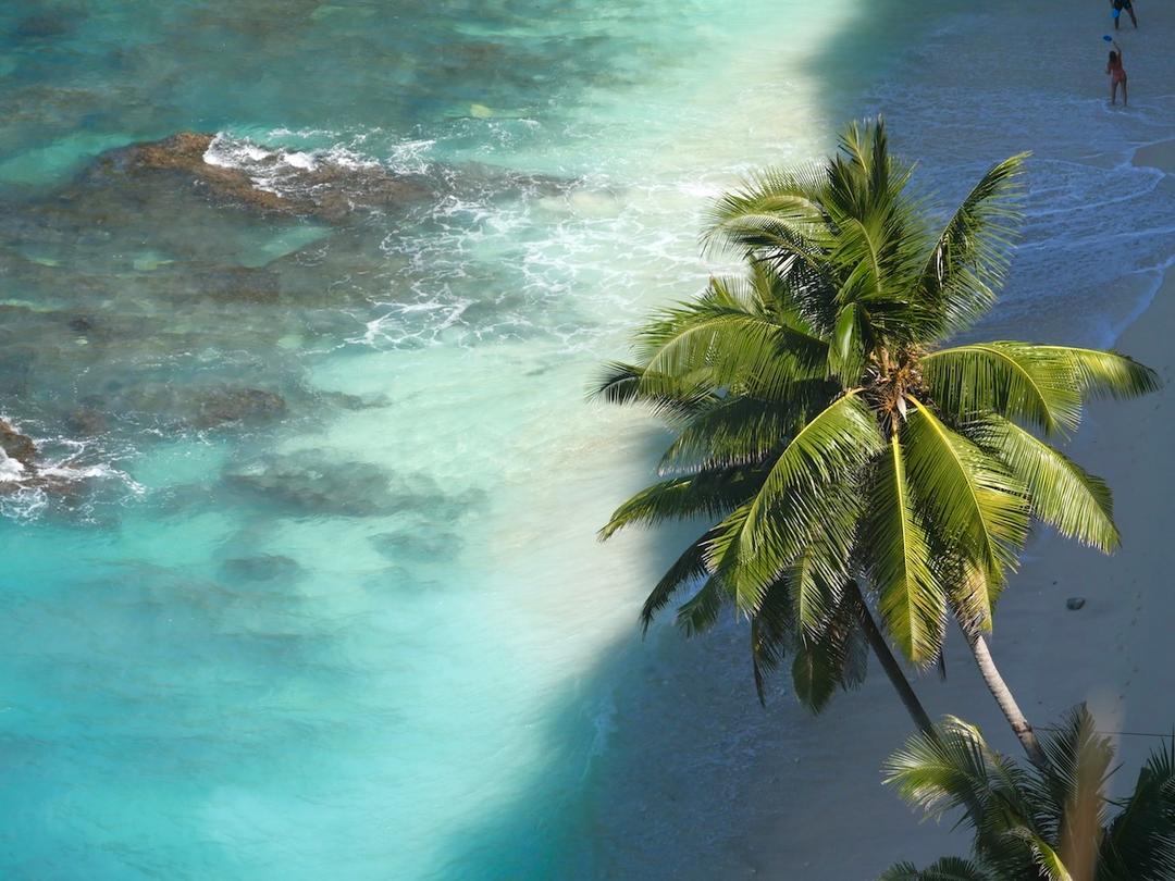 vue sur la plage de dreamland beach à bali avec palmier au premier plan et mer turquoise en arrière plan