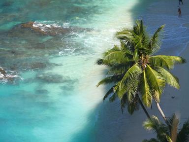 vue sur la plage de dreamland beach à bali avec palmier au premier plan et mer turquoise en arrière plan