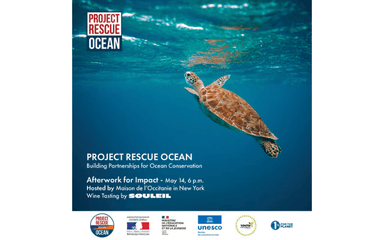 Project Rescue Ocean à la Maison de l'Occitanie