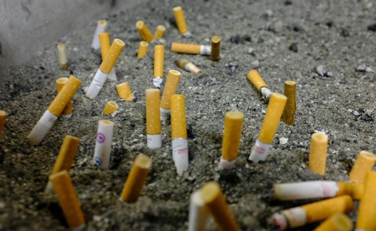 cigarettes_écrasées