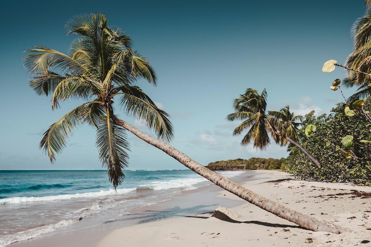Tout ce qu'il ne faut pas rater en Martinique