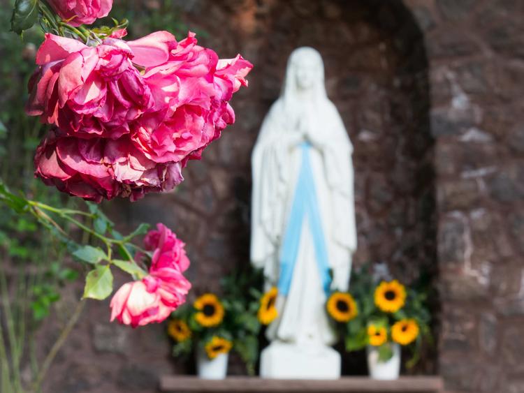 Une rose devant une statue de la vierge Marie