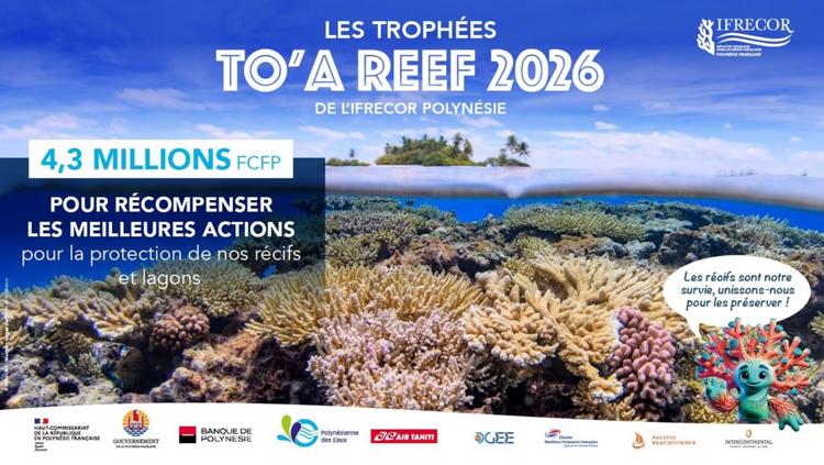 Trophées TO’A Reef 2026 de l’Ifrecor Polynésie : agir ensemble pour les récifs coralliens