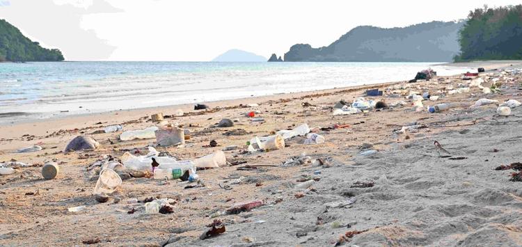 Plage polluée Thaïlande 